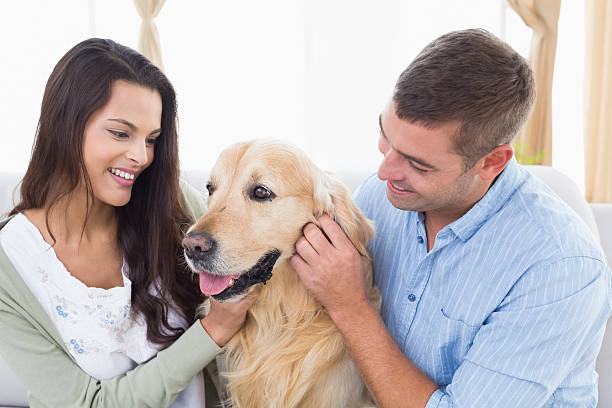 istock Couple stroking dog at home 474395534