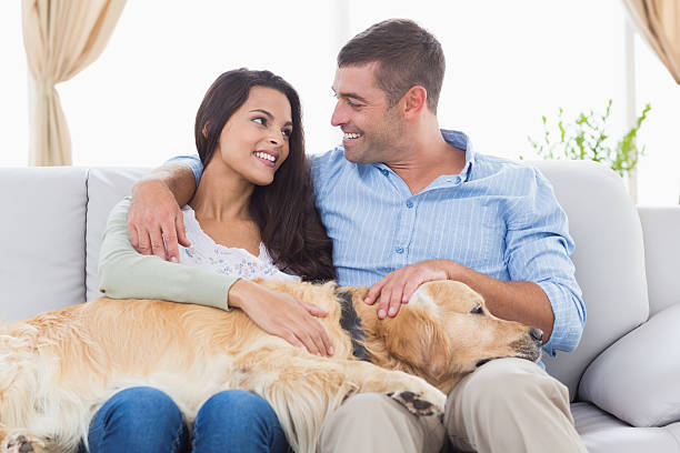 istock Happy couple stroking Golden Retriever on sofa 474395796