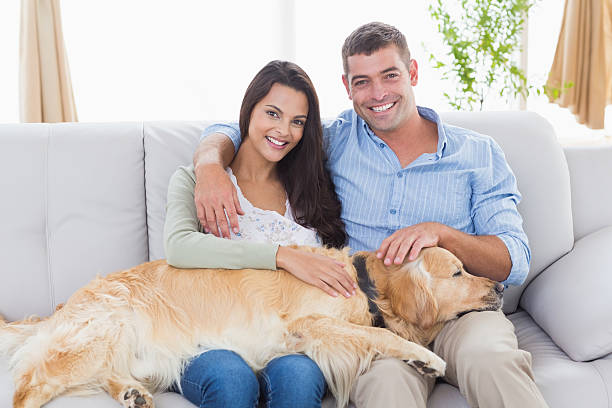 istock Happy couple stroking dog while sitting on sofa 474395798