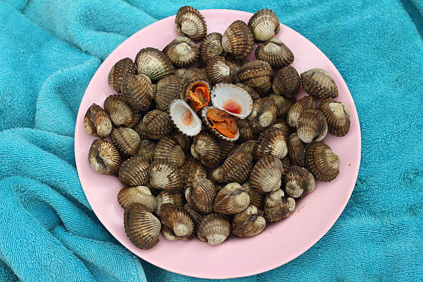 istock Cockles in plate placed on a blue background. 474398182