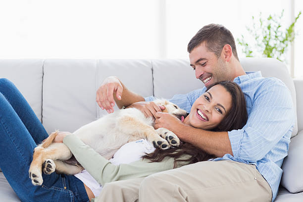 istock Couple with puppy relaxing on sofa 474399030