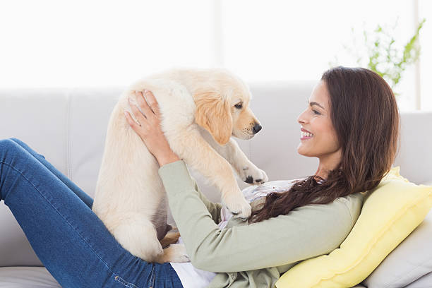 istock Woman playing with puppy on sofa 474399218