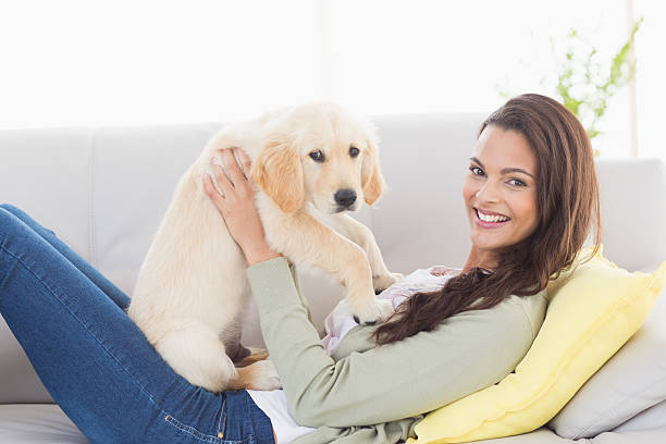 istock Woman playing with puppy on sofa at home 474399224