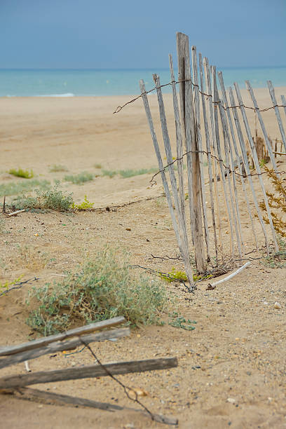 istock Dunes at Vendres France 474399929