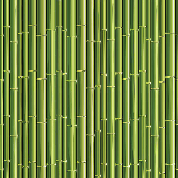 illustrazioni stock, clip art, cartoni animati e icone di tendenza di seamless texture in bambù - bamboo asia backgrounds textured