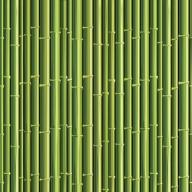 竹のシームレスな質感 - bamboo asia backgrounds textured点のイラスト素材／クリップアート素材／マンガ素材／アイコン素材