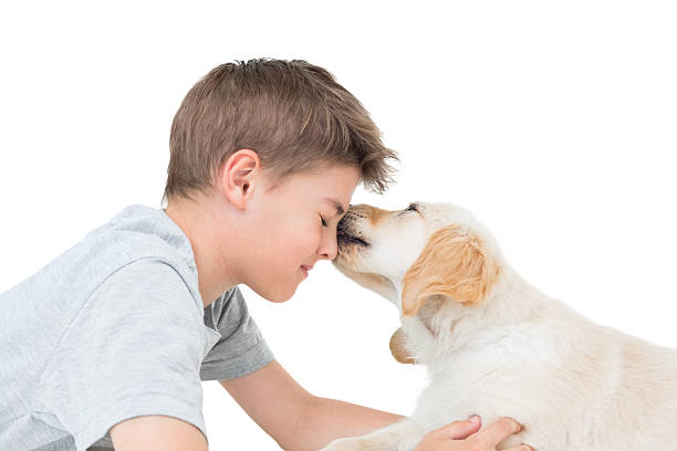 istock Puppy licking boy over white background 474402662