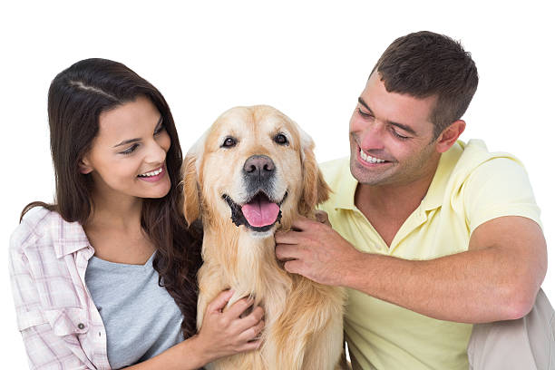 istock Loving couple stroking dog 474403200
