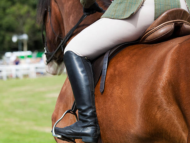 istock Clydesdale Horse with Rider 474403861