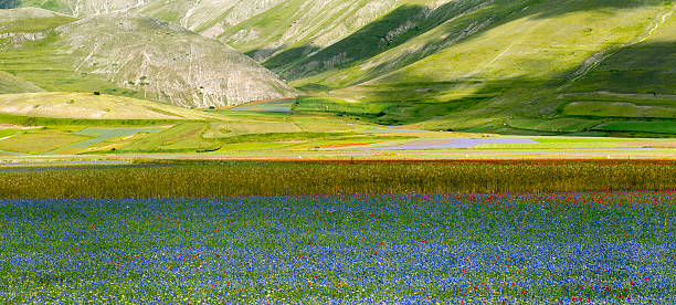 istock Piano Grande di Castelluccio (Italy) 474405152
