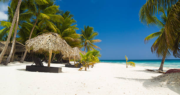 istock Tropical beach in Caribbean Sea 474405754