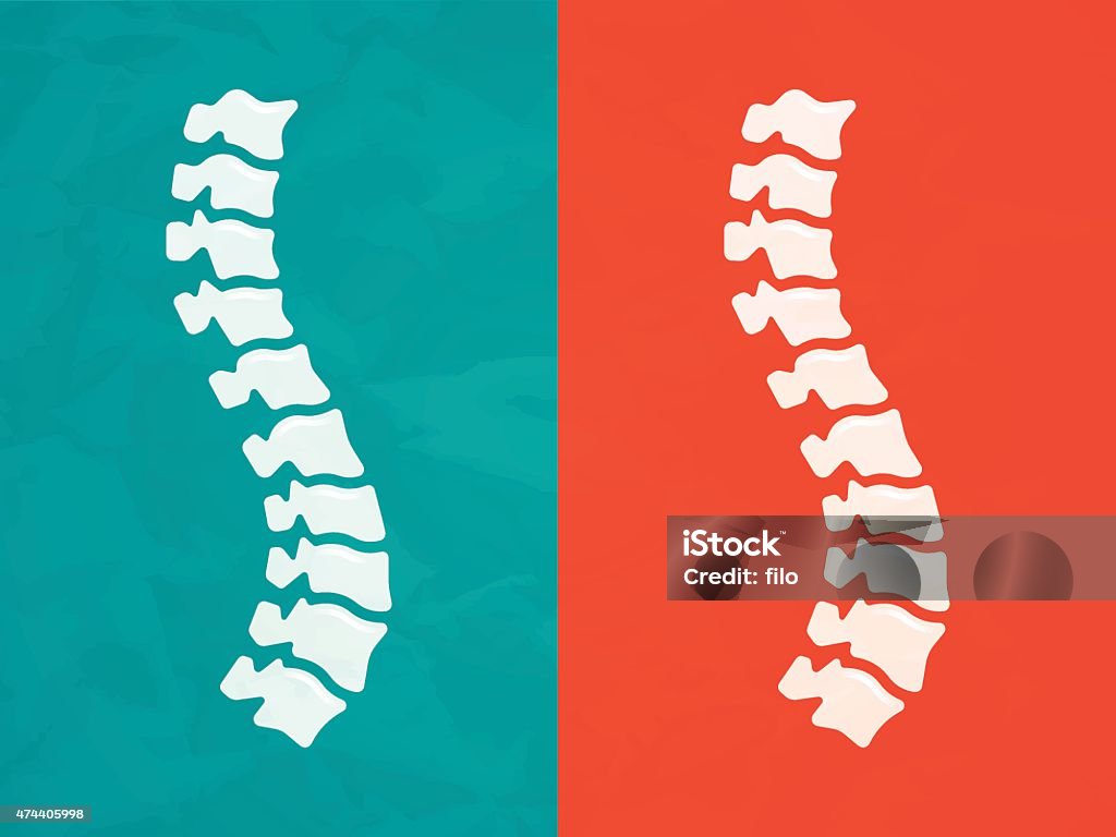 Spine Human spine chiropractic back pain concept. EPS 10 file. Transparency effects used on highlight elements. Vector stock vector