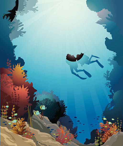coral reef, podwodne jaskini i w głębinach. - animal animal themes sea below stock illustrations