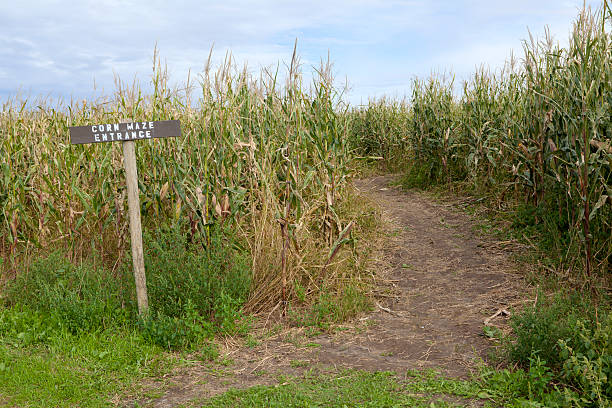 istock Entrance to corn Maze 474411683