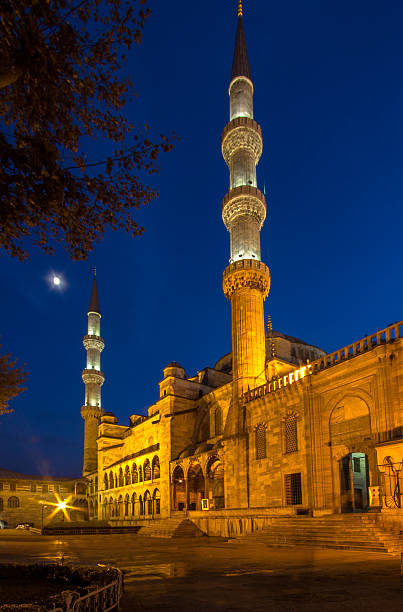 istock Blue mosque, Istanbul, Turkey 474411931