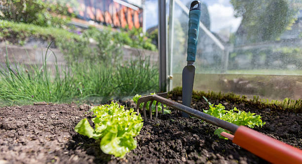 istock garden work in a little greenhouse 474413102