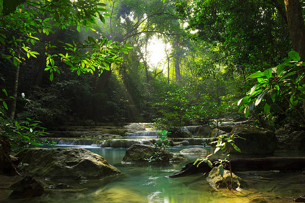 parque nacional de erawan - waterfall thailand tropical rainforest tropical climate fotografías e imágenes de stock