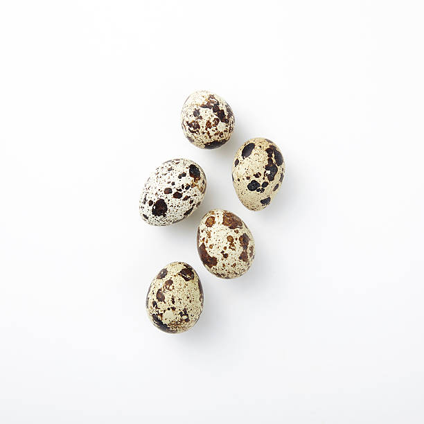 Quail eggs Overhead view of quail eggs on white quail egg stock pictures, royalty-free photos & images