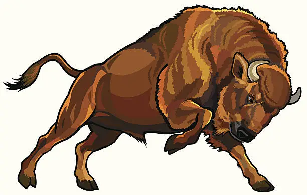 Vector illustration of european bison