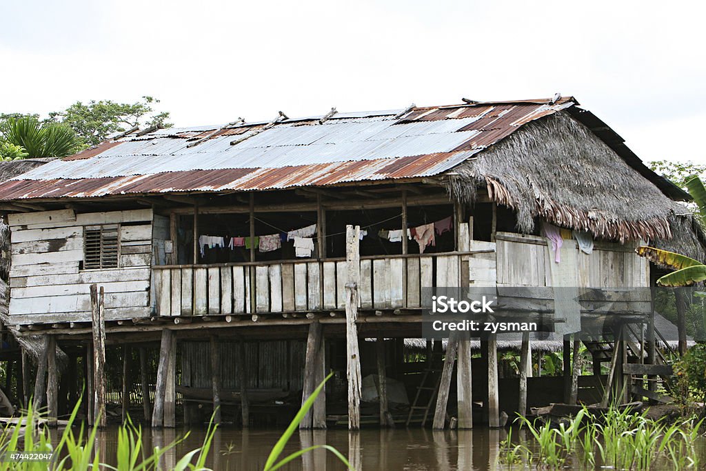 Indigenous House An indigenous house in the Amazon river basin near Iquitos, Peru Amazon Rainforest Stock Photo
