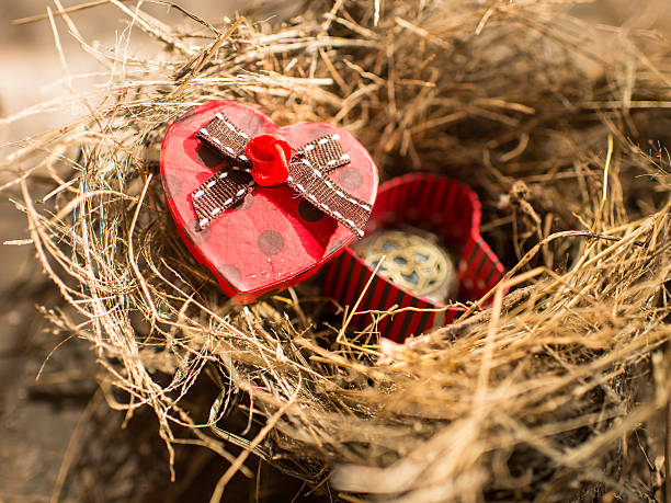 istock Red heart box in bird's nest, valentine concept. 474422715