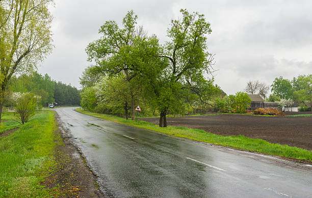istock Wet spring in rural area 474427386