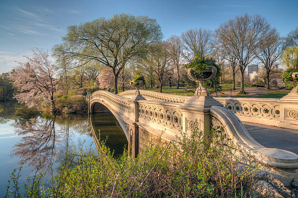 istock Central Park, New York City 474427714
