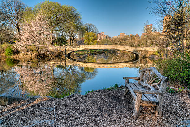istock Central Park, New York City 474427718