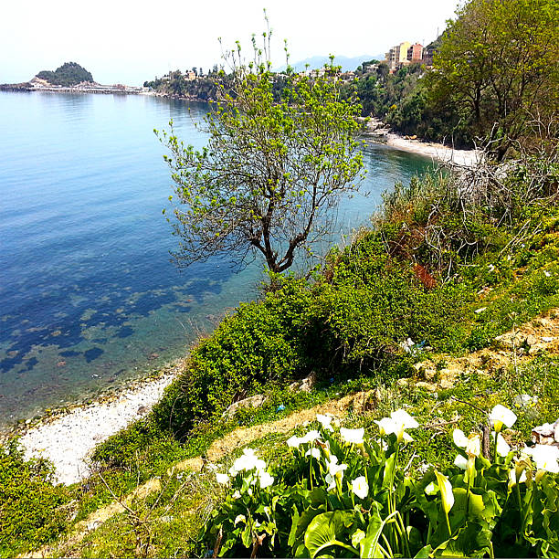 istock Combination Between Nature And The Sea 474428198