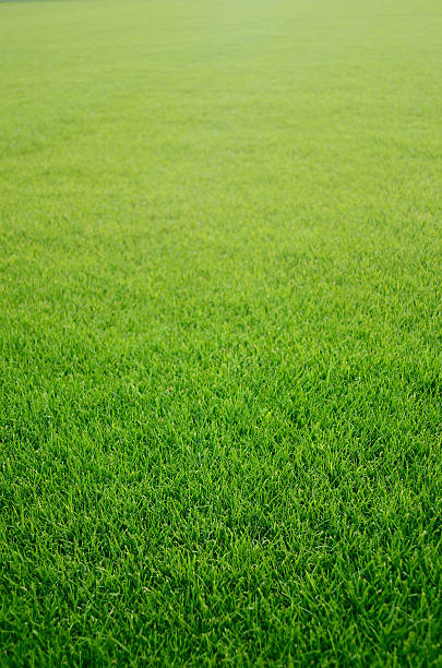 herbe - soccer field soccer football field grass photos et images de collection