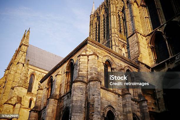 Lincoln Cathedral Allalba Lincoln In Inghilterra - Fotografie stock e altre immagini di Albero