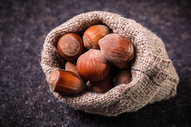 les noisettes - nobody food canvas peanut photos et images de collection