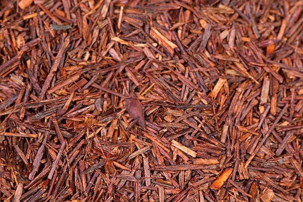 istock assortment of dry tea 474437370