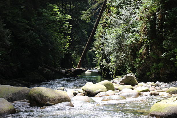 istock Beautiful Rocky Creek 474444122