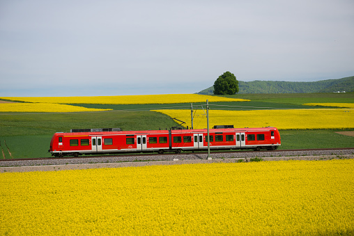 train through the rape fields, Neunkirch Schaffhausen, Switzerland