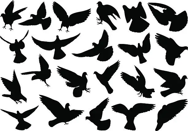 Vector illustration of Doves