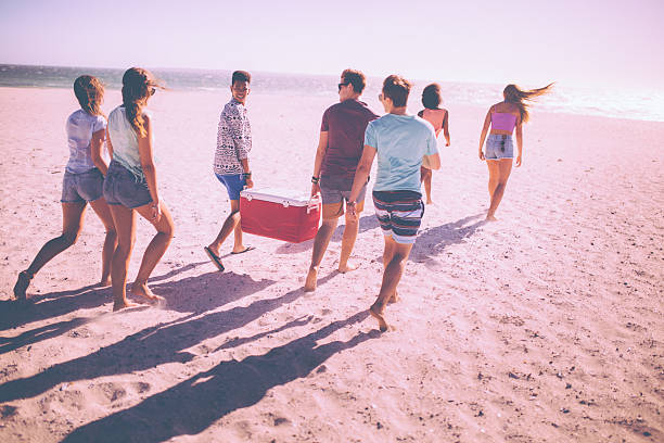 Friends on a beach carrying cooler box for a party