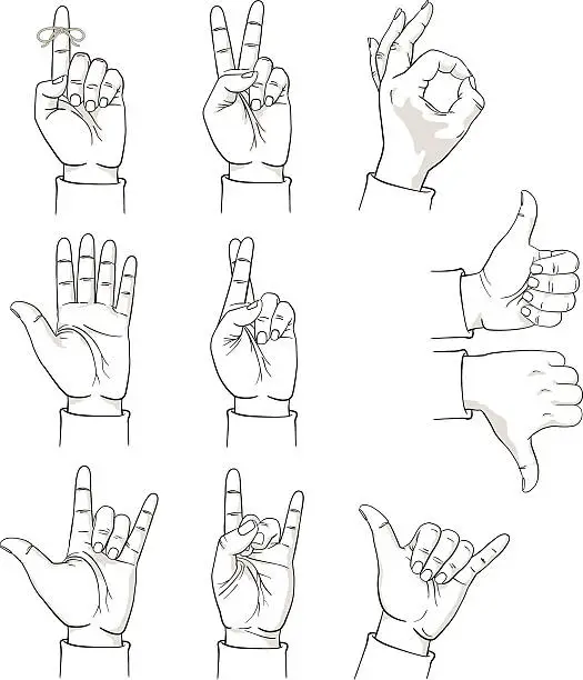 Vector illustration of Hands making various gestures