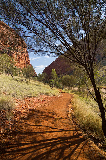 istock Alice Springs in Northern Territory, Australia 474457728