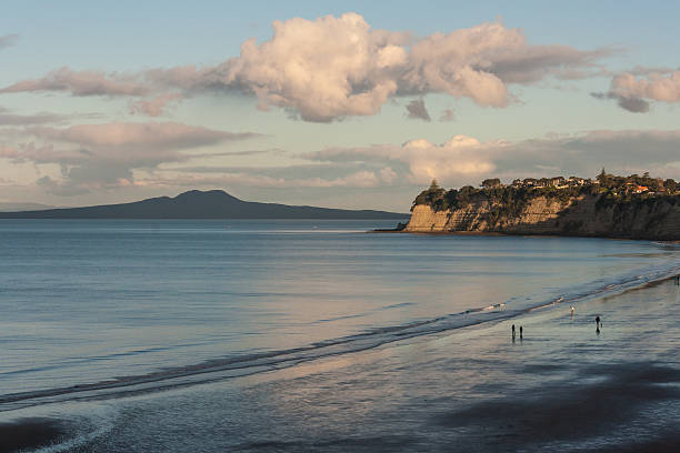 Long Bay and Rangitoto Island