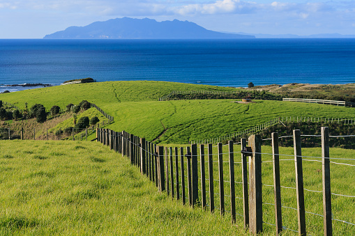 fence across meadows at Tawharanui park in New Zealand
