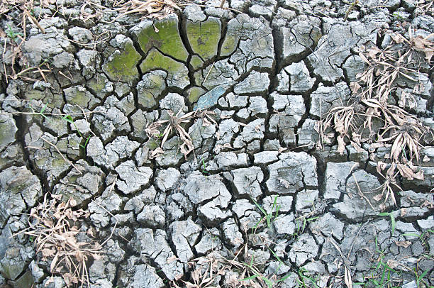 istock dried ground covered with cracks. background for design 474461616