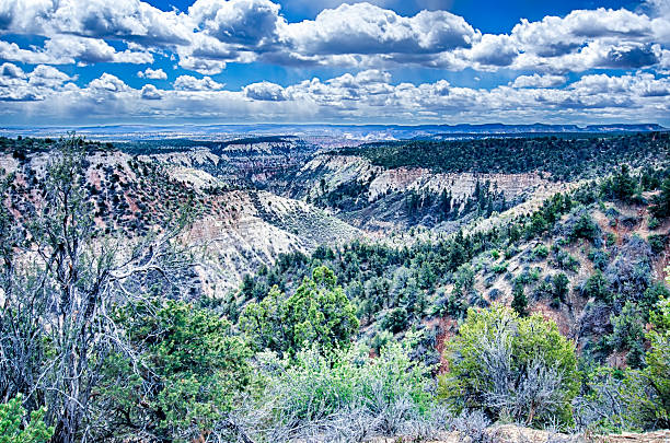istock Zion Canyon National Park Utah 474464358