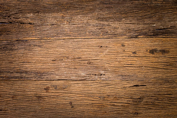 istock texture of bark wood use as natural background 474465042