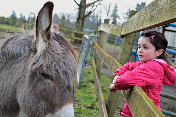 istock Petting Zoo Child and Donkey 474465295
