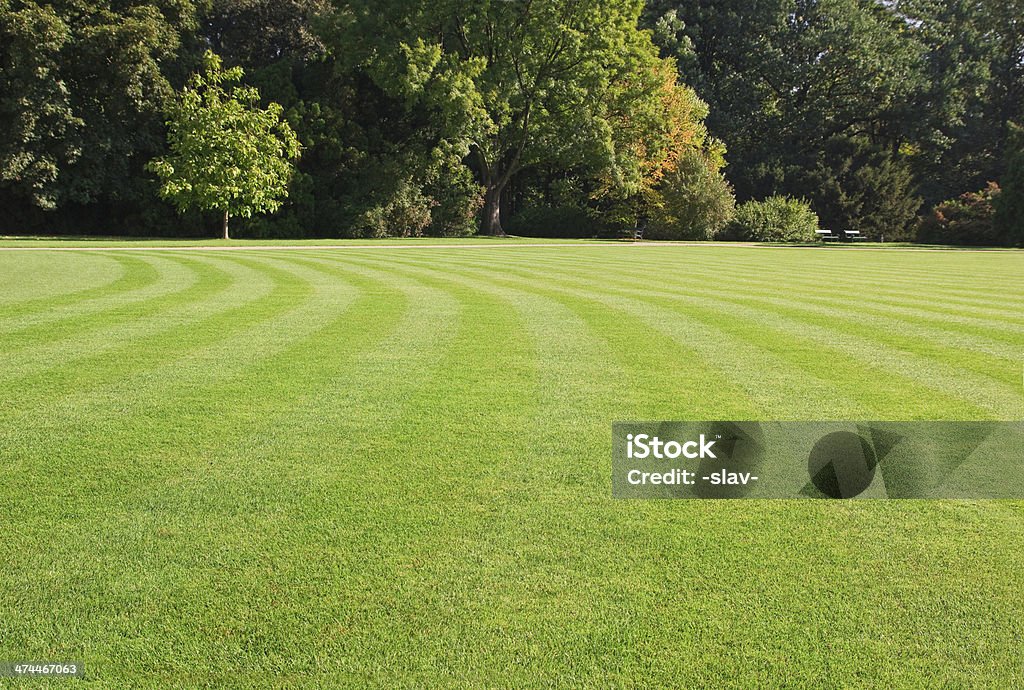 park landscape green, striped lawn in the park Yard - Grounds Stock Photo