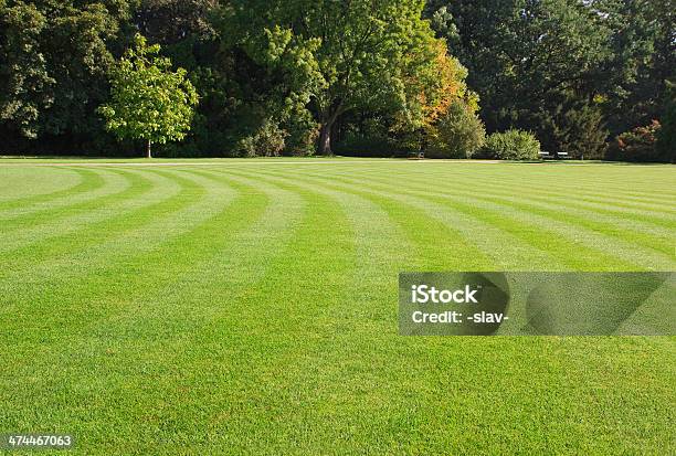 Park Landscape Stock Photo - Download Image Now - Yard - Grounds, Lawn, Grass