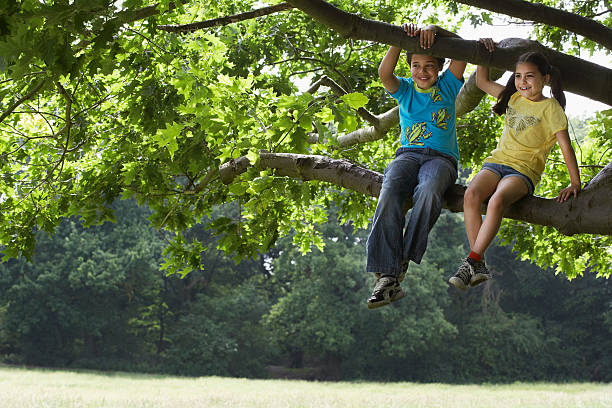 istock Brother And Sister Relaxing On Tree Branch 474467543
