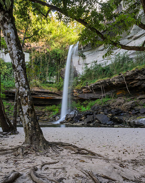 심홍색 임산 워터풀 - tropical rainforest thailand root waterfall 뉴스 사진 이미지