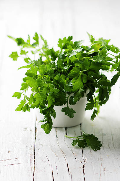 istock Green fresh parsley on the wooden table 474468180